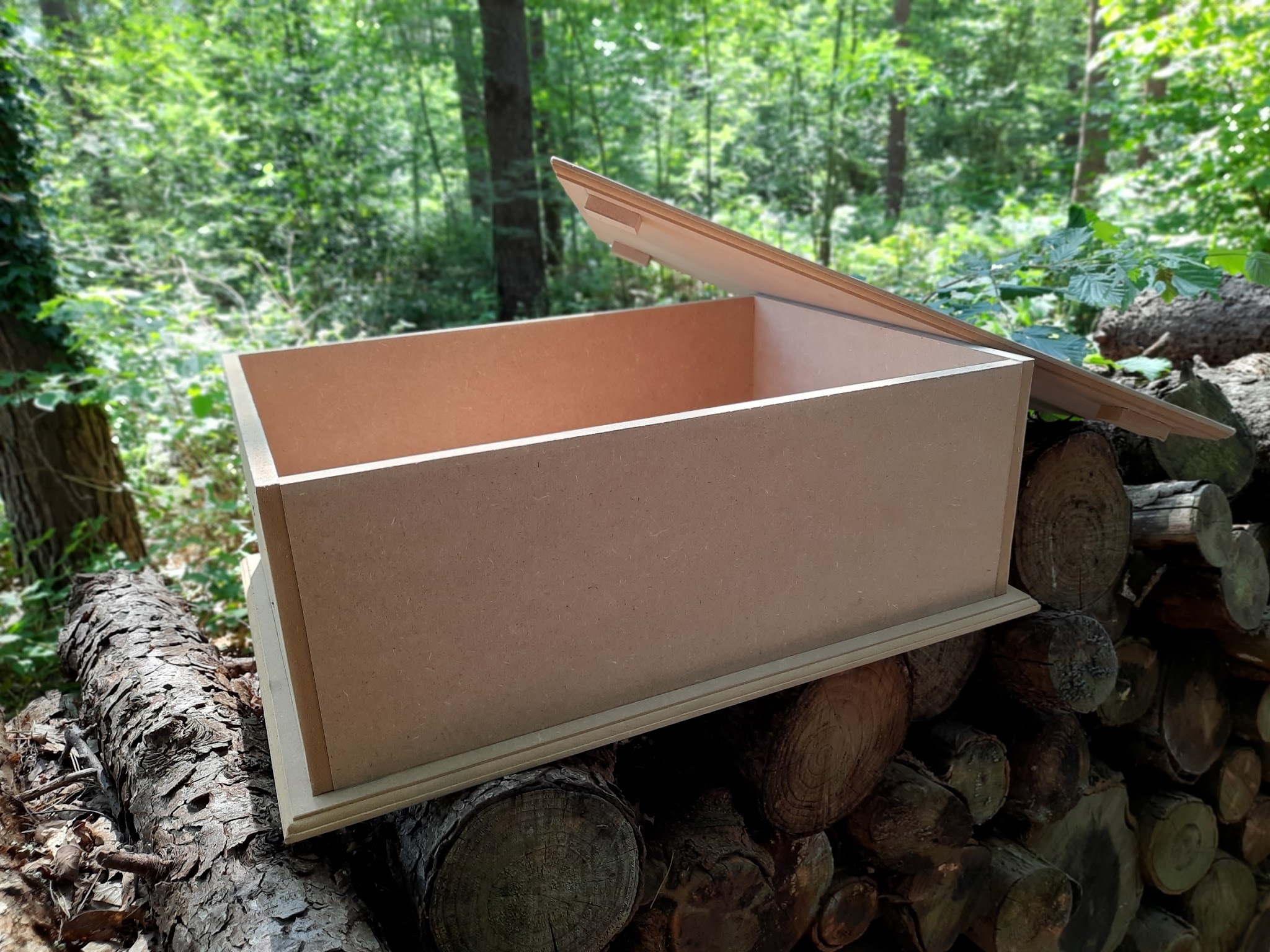 Houten kist met opengeklapt deksel op een stapel boomstammen in het bos